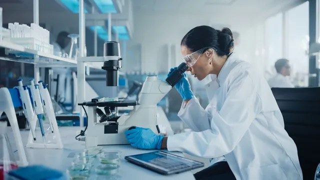 R&D